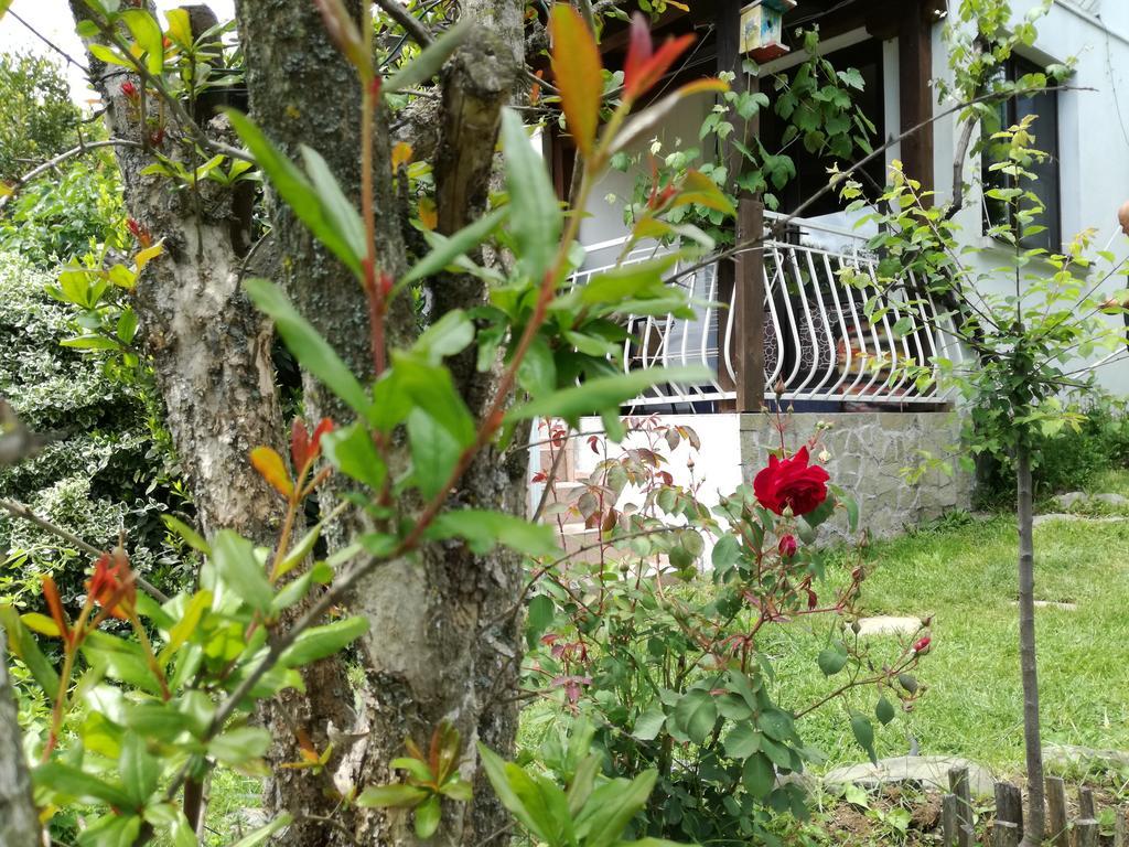 Guest House Fanny Sinemoretz Exterior photo